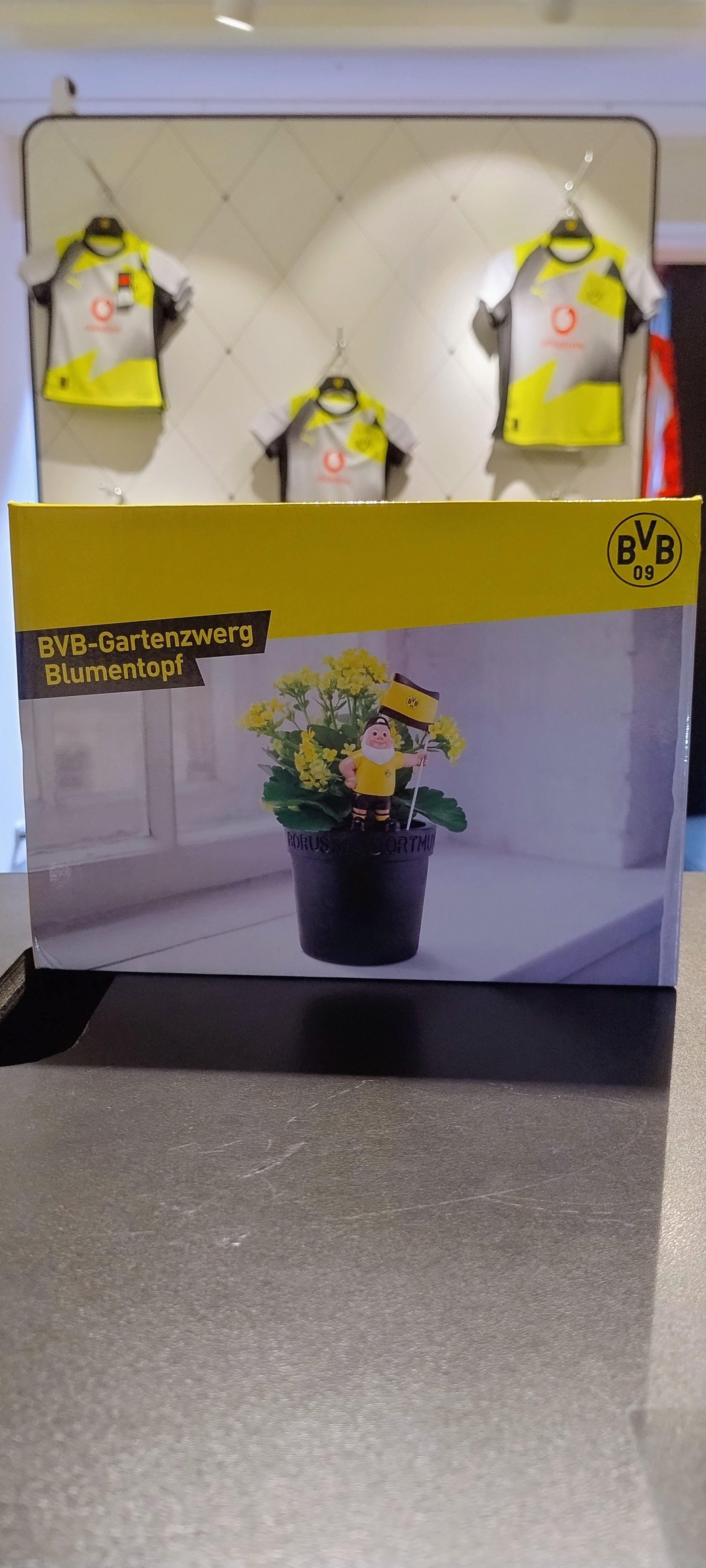 BVB Gartenzwerg Blumentopf