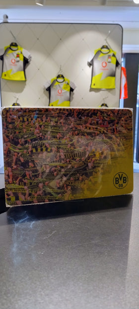 BVB Frühstücksbrettchen Fans