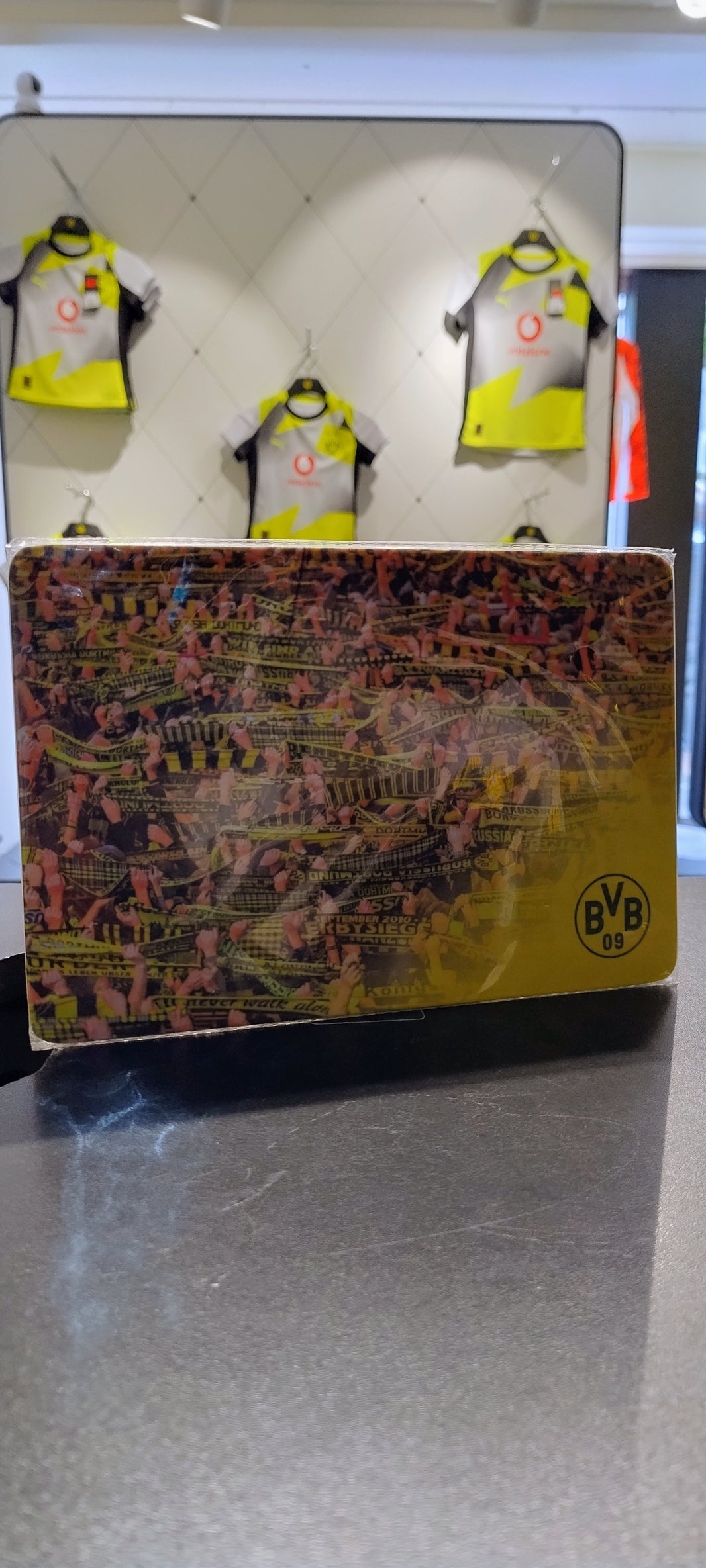 BVB Frühstücksbrettchen Fans