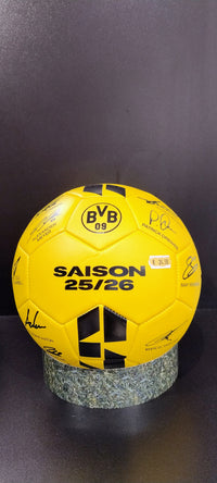 BVB Unterschriftenball 25/26 Gr.5