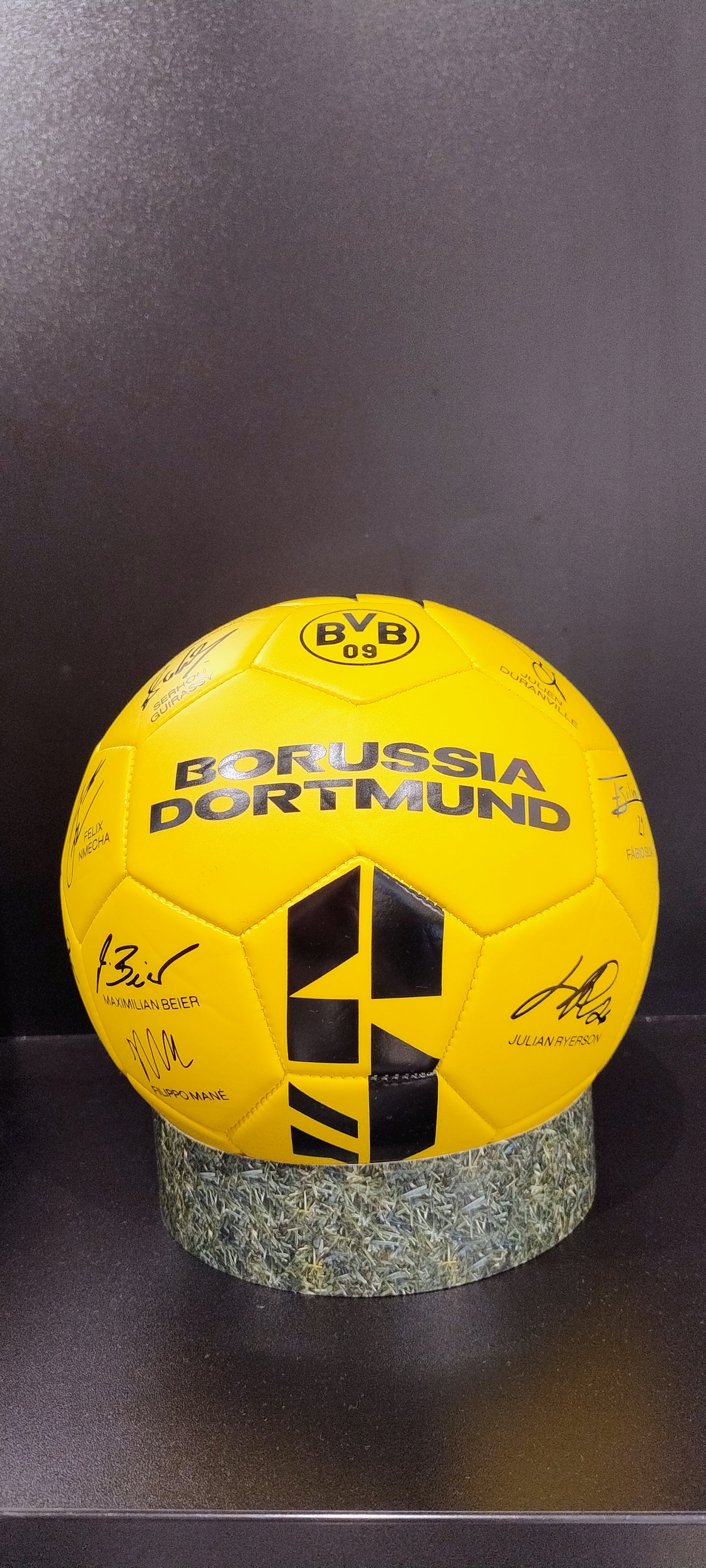 BVB Unterschriftenball 25/26 Gr.5
