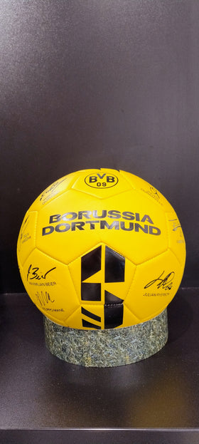 BVB Unterschriftenball 25/26 Gr.5