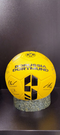 BVB Unterschriftenball 25/26 Gr.5
