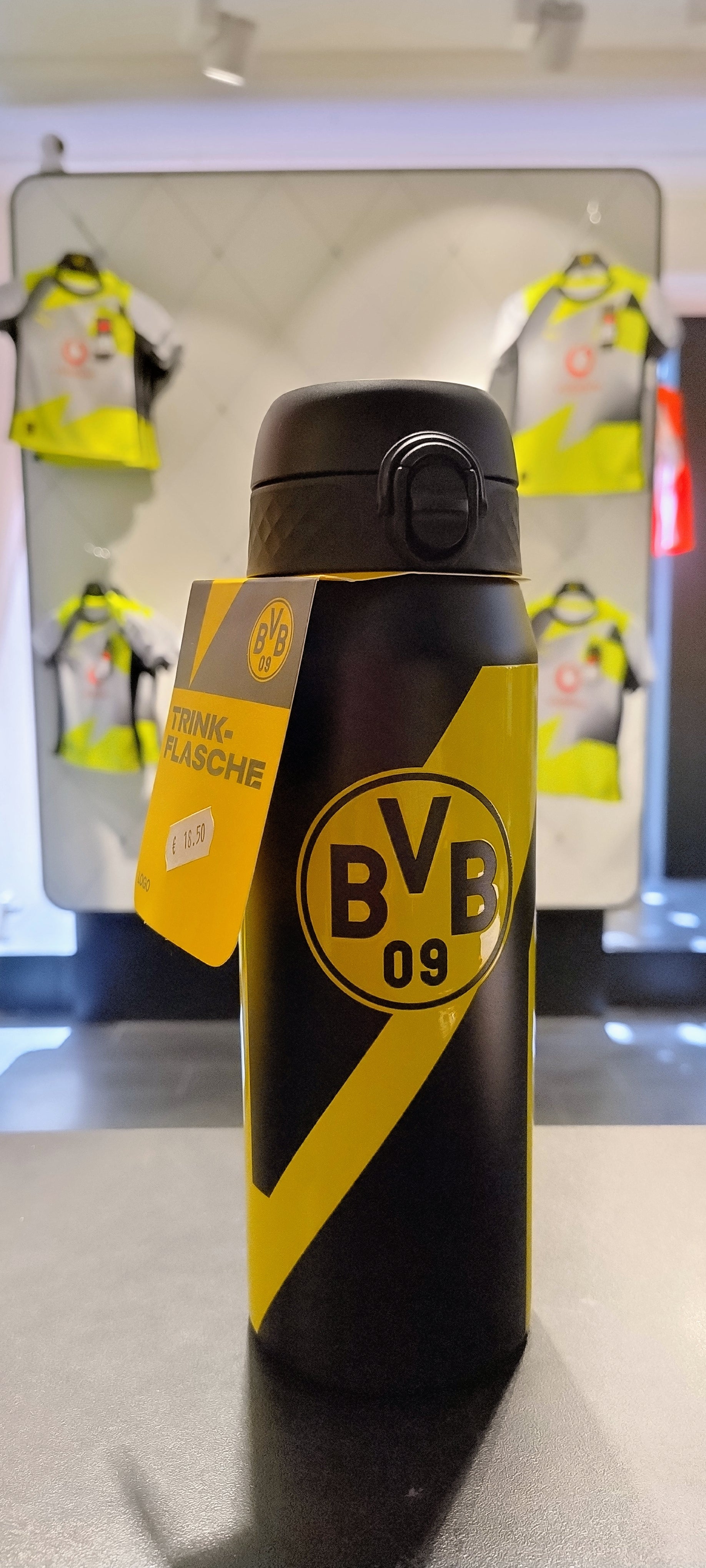 BVB Trinkflasche Ion8
