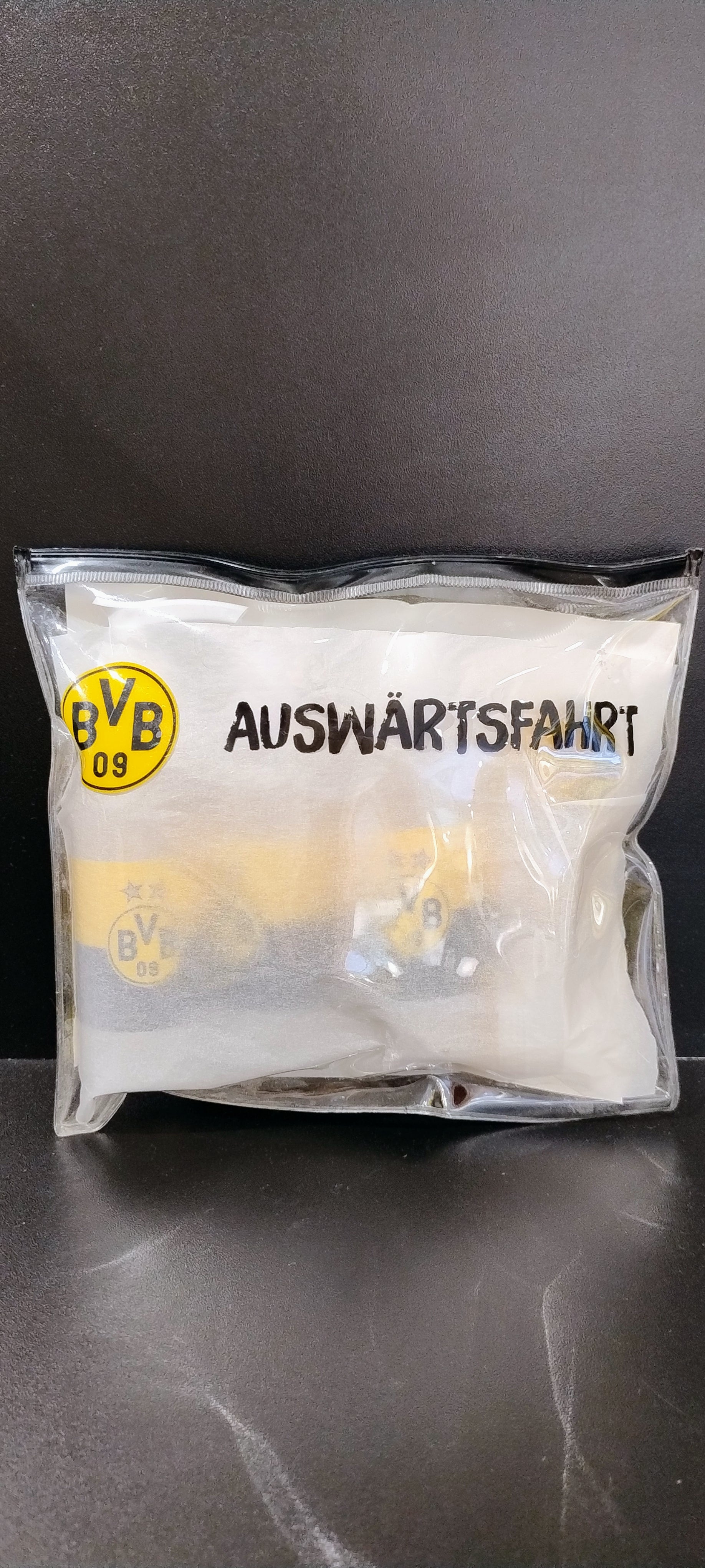 BVB Reiseset Auswärtsfahrt
