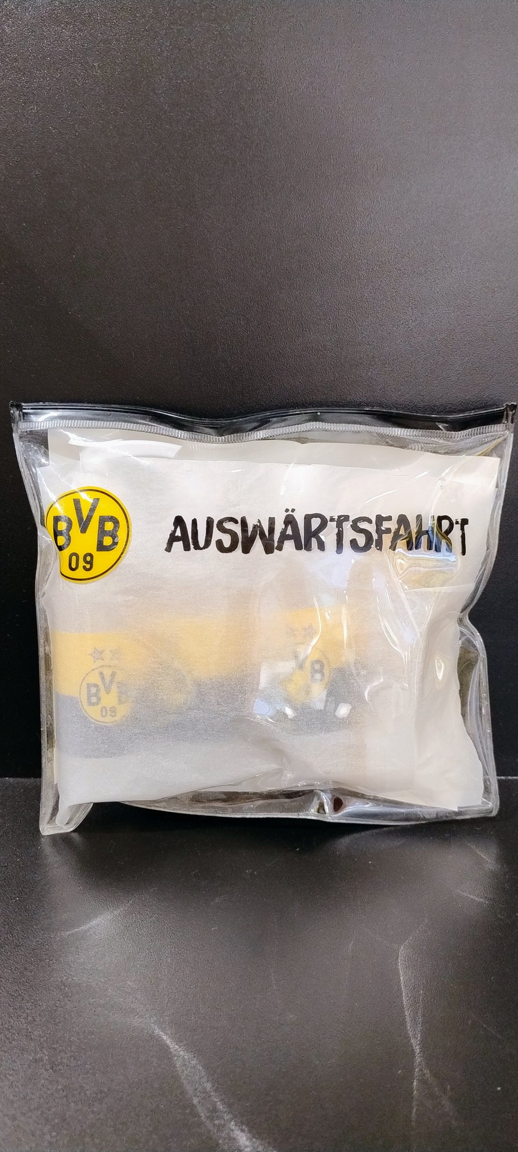BVB Reiseset Auswärtsfahrt
