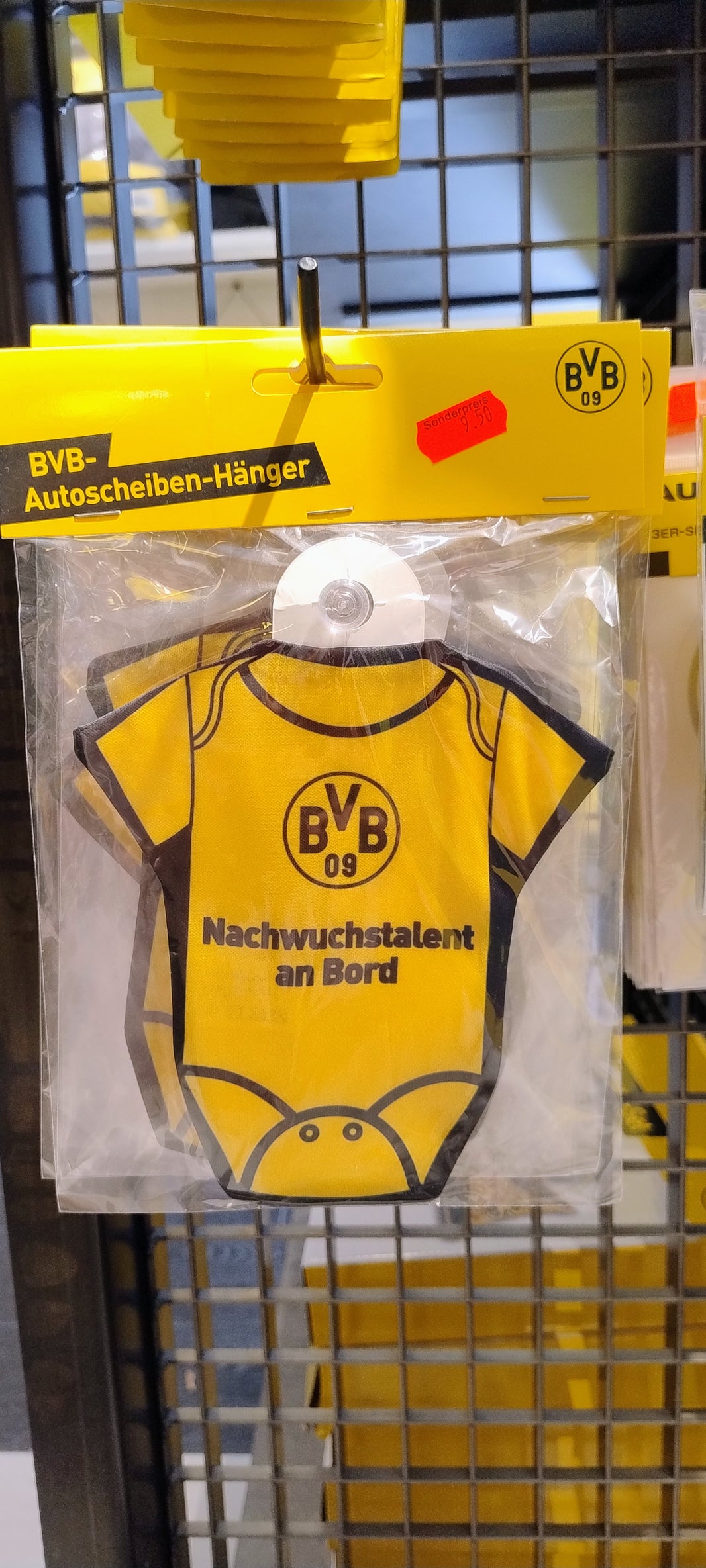BVBAutoscheiben Hänger